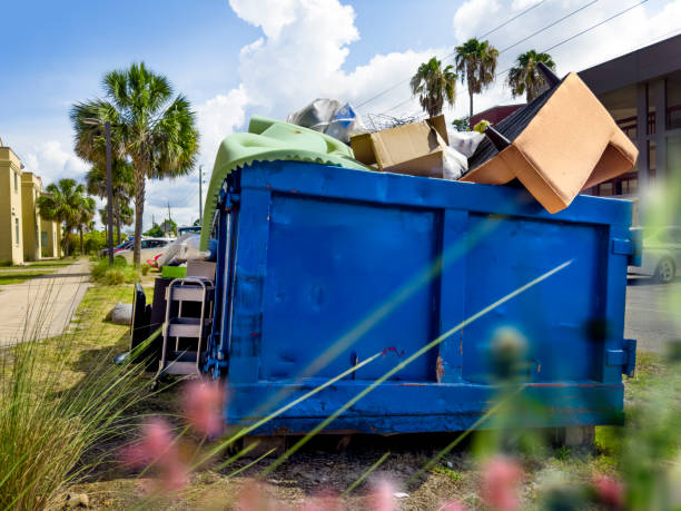 Professional Junk Removal in Young Harris, GA